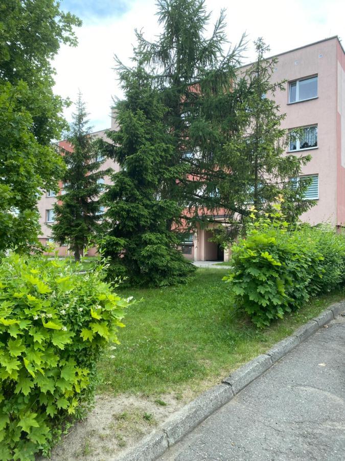 Zb Apartment Beige Piekary Slaskie Exterior photo